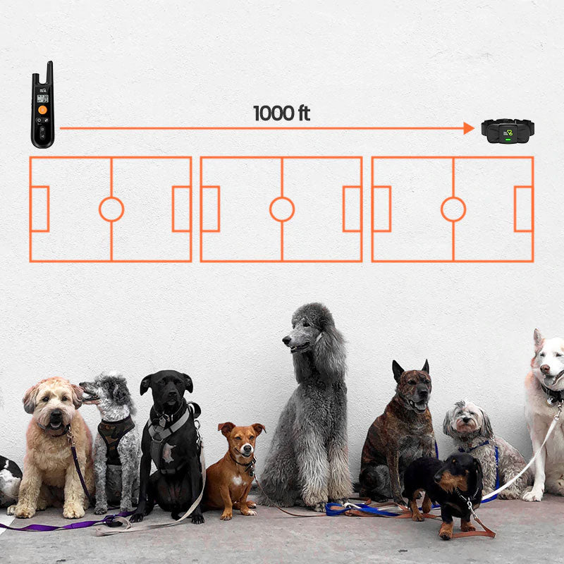 Advanced Dog Training E-Collar for Dog Care || Crossfire.Pk - Crossfire.Pk