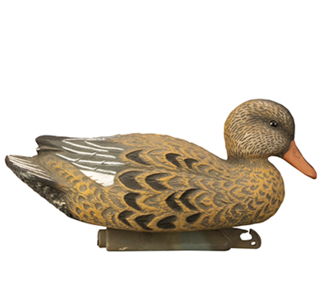 Six pieces of Higdon Foam-Filled Gadwall Duck Decoys Online price in Pakistan - Crossfire - Crossfire.Pk