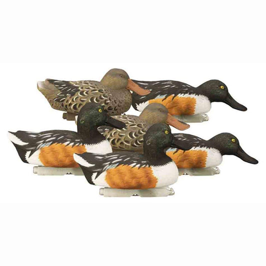 Six pieces of Higdon foam-filled shoeveler Duck decoys price in Pakistan - Crossfire - Crossfire.Pk