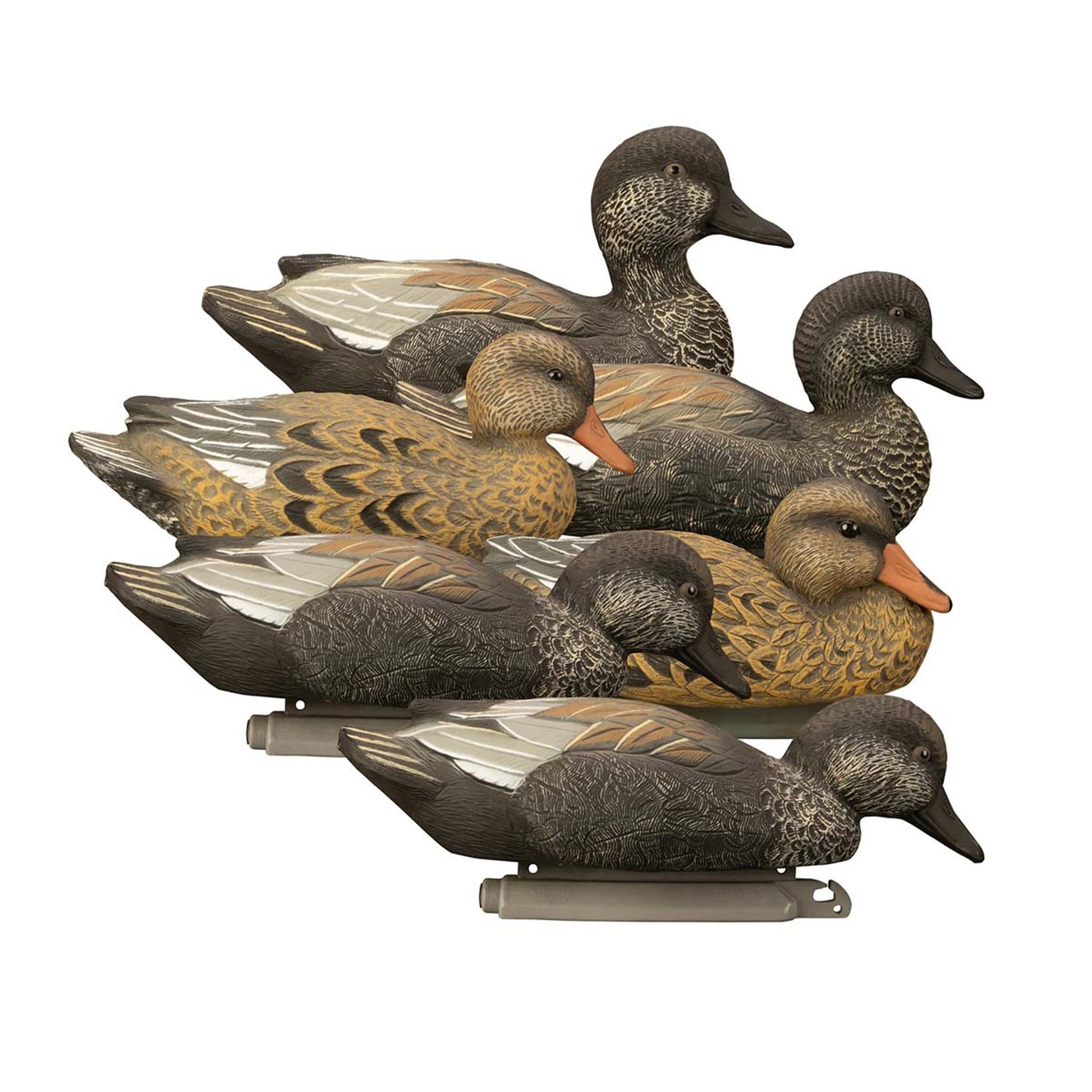 Six pieces of Higdon Foam-Filled Gadwall Duck Decoys Online price in Pakistan - Crossfire - Crossfire.Pk