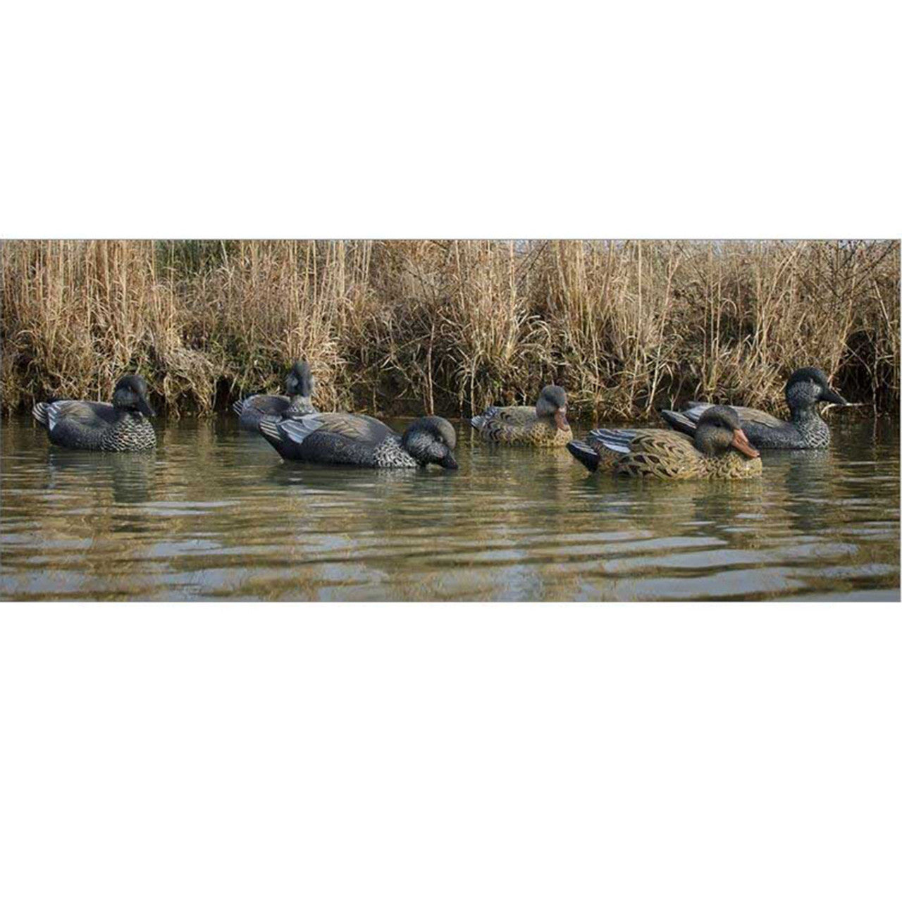 Six pieces of Higdon Foam-Filled Gadwall Duck Decoys Online price in Pakistan - Crossfire - Crossfire.Pk