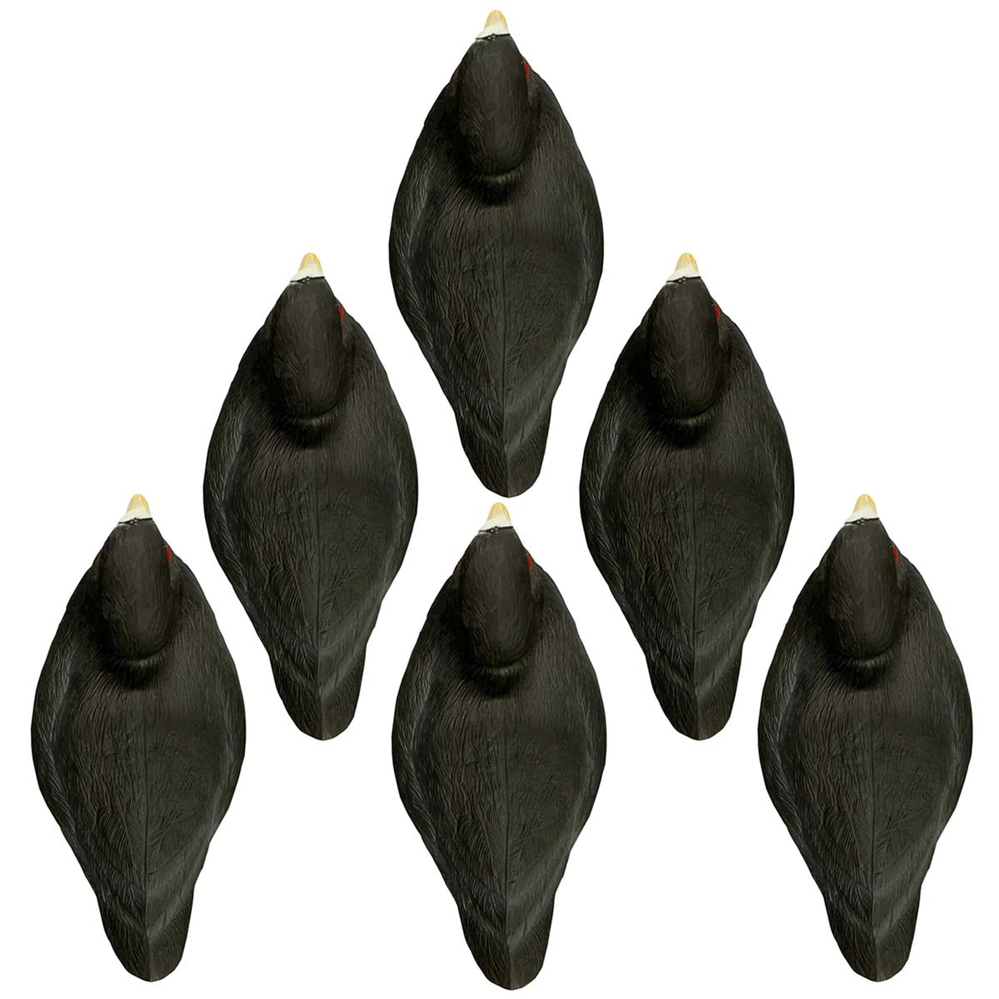 Six pieces of Higdon Foam-Filled Coot Decoys For Sale Online Price in Pakistan - Crossfire.Pk