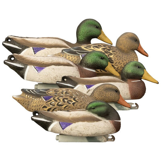 Six pieces of Higdon full-size mallard foam-filled duck decoys price in Pakistan - Crossfire.Pk