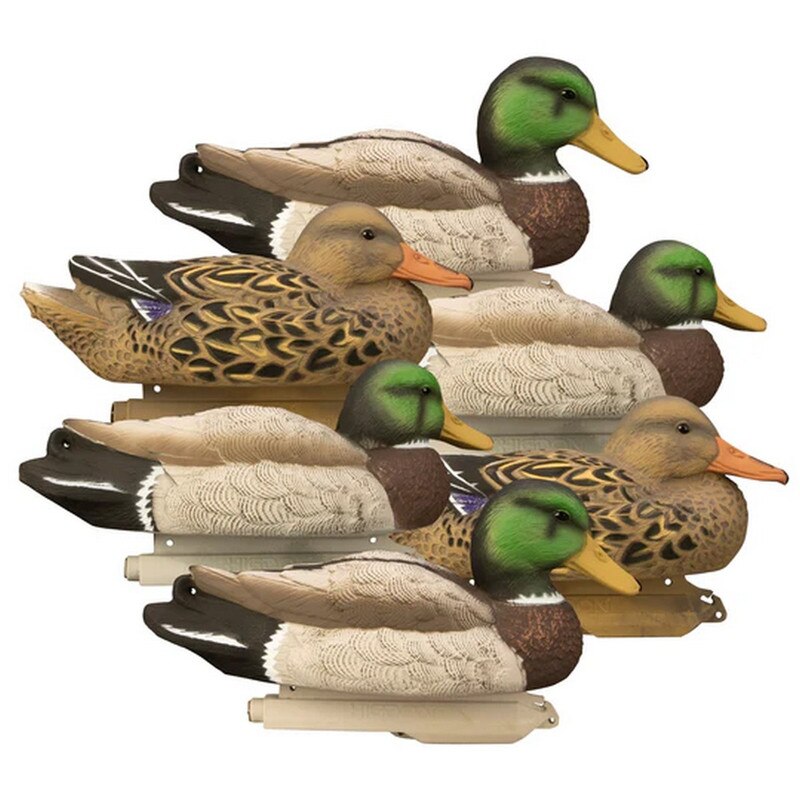 Six pieces of Higdon Standard Mallard Duck Decoys Online Price in Pakistan - Crossfire.pk - Crossfire.Pk