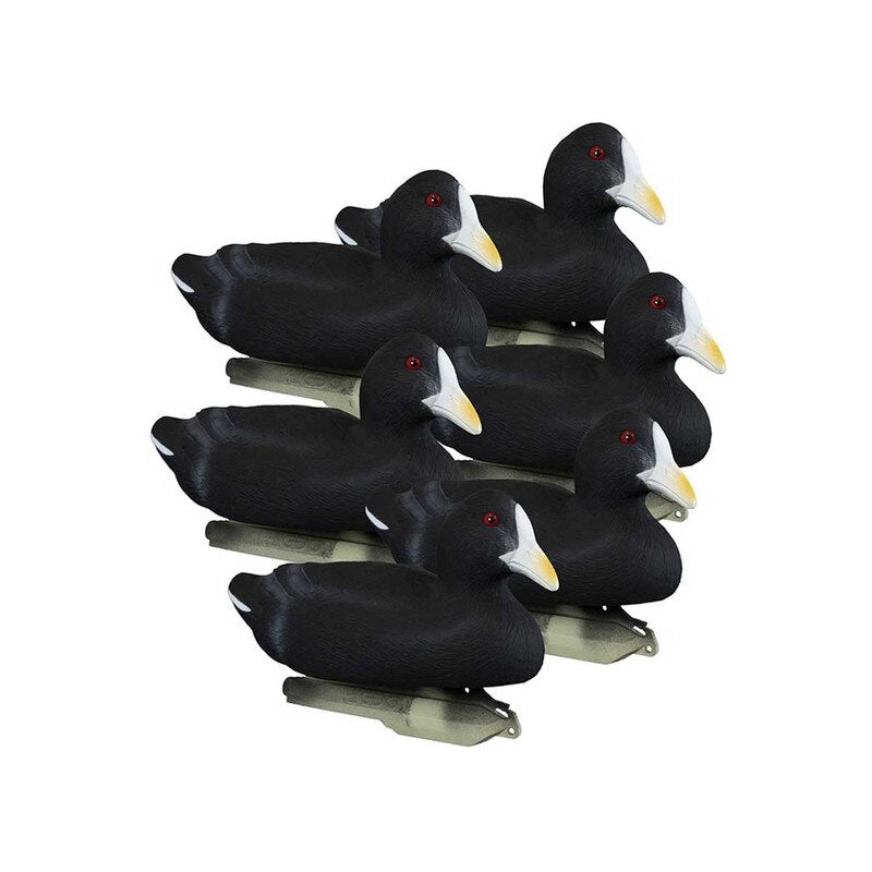 Six pieces of Higdon Foam-Filled Coot Decoys For Sale Online Price in Pakistan - Crossfire.Pk