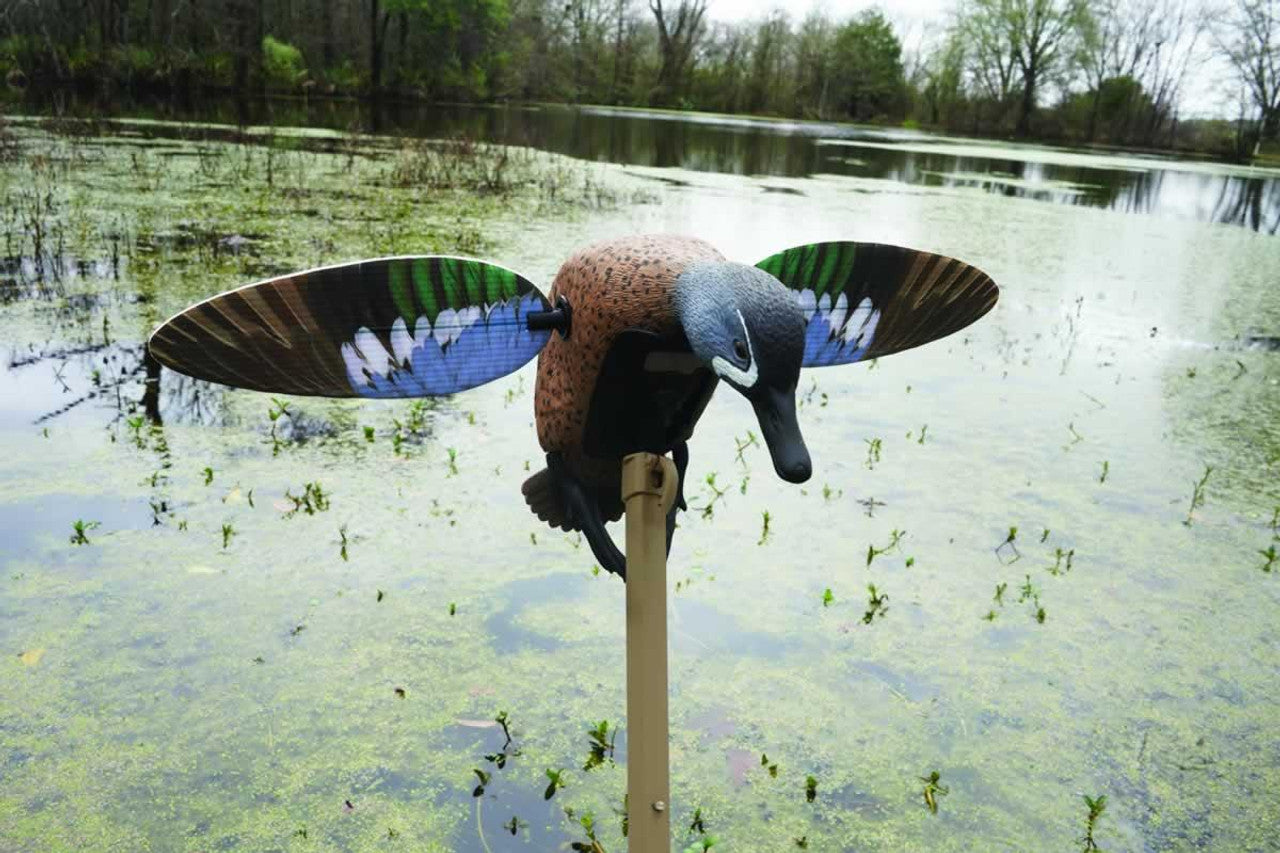 Mojo Teal Decoy Outdoor || Moving Duck Mojo Decoys Online Price in Pakistan - Crossfire.Pk