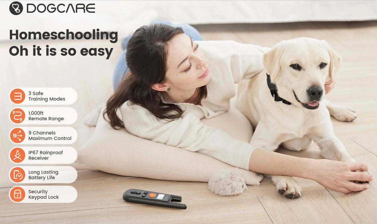 Advanced Dog Training E-Collar for Dog Care || Crossfire.Pk - Crossfire.Pk